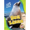 KNYGA Heather Adamson Sea Lions