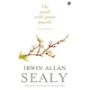 KNYGA I Allan Sealy Small Wild Goose Pagoda
