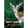 KNYGA Ian Alexander West London Wildlife