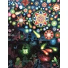 KNYGA J M Barrie PETER PAN: An Illuminated Edition
