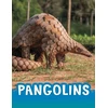 KNYGA Jaclyn Jaycox Pangolins