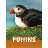 KNYGA Jaclyn Jaycox Puffins