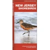 KNYGA James Kavanagh New Jersey Shorebirds