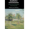 KNYGA Josh Weisberg Qualitative Consciousness