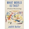 KNYGA Judith Butler What World Is This?