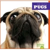 KNYGA Kaitlyn Duling Pugs
