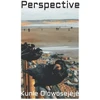 KNYGA Kunle Olowosejeje Perspective