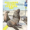 KNYGA Lenora Todaro Sea Lions in the Parking Lot