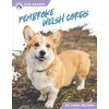 KNYGA Libby Wilson Pembroke Welsh Corgis