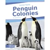 KNYGA Lisa Bullard Penguin Colonies