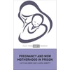KNYGA Lucy Baldwin Pregnancy and New Motherhood in Prison