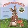KNYGA Madeleine Simson Rabbit Called Sneeze