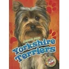KNYGA Mari C Schuh Yorkshire Terriers