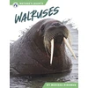 KNYGA Marissa Kirkman Walruses