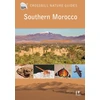 KNYGA Martin Pitt Southern Morocco