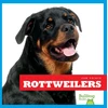 KNYGA Nadia Higgins Rottweilers