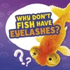 KNYGA Nancy Dickmann Why Don't Fish Have Blakstienos?