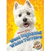KNYGA Nathan Sommer West Highland Baltas Terriers