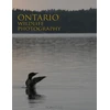 KNYGA Noah Cole Ontario Wildlife Photography