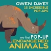 KNYGA Owen Davey My First Pop-Up Endangered Animals