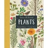 KNYGA Pamela Hickman Nature All Around: Plants