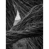 KNYGA Patrick Dougherty | James Florio: Sticks