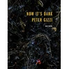 KNYGA Peter Gizzi Now It's Dark