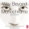 KNYGA Ralph W Lambrecht Way Beyond Monochrome 2e