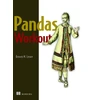 KNYGA Reuven M Lerner Pandas Workout