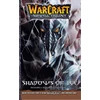 KNYGA Richard A Knaak WarCraft: The Sunwell Trilogy #2: Shadows of Ice