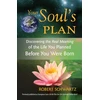 KNYGA Robert Schwartz Your Soul's Plan