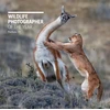 KNYGA Rosamund Kidman Cox Wildlife Photographer of the Year: Portfolio 29