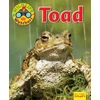 KNYGA Ruth Owen Wildlife Watchers: Toad