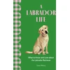 KNYGA Sara Weiss Labrador Life, What to Know and Love About the Labrador Retriever