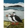 KNYGA Sarah Ross Thompson Wild Birds Pocket Notebook: Puffin
