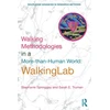 KNYGA Stephanie Springgay Walking Methodologies in a More-than-human World