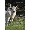 KNYGA Stephen Hall Wild Cattle of Chillingham