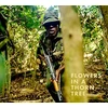 KNYGA Steven Thackston: Flowers in a Thorn Tree