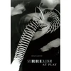 KNYGA Susan Laxton Surrealism at Play