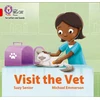 KNYGA Suzy Senior Visit the Vet