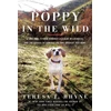 KNYGA Teresa J Rhyne Poppy in the Wild