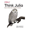 KNYGA Ben Lauwens Think Julia