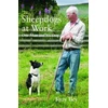 KNYGA Tony Iley Sheepdogs at Work