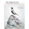 KNYGA Vic Fairbrother Ring Ouzel