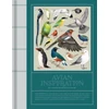 KNYGA Viction Avian Inspiration, Art and Design Inspired by Birds