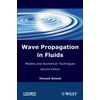 KNYGA Vincent Guinot Wave Propagation in Fluids