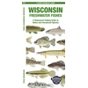 KNYGA Waterford Press Wisconsin Freshwater Fishes