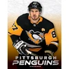 KNYGA William Arthur Pittsburgh Penguins