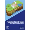 KNYGA Yongchen Song Understanding Geologic Carbon Sequestration and Gas Hydrate from Molecular Simulation