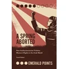 KNYGA Yusuf M Sidani Spring Aborted